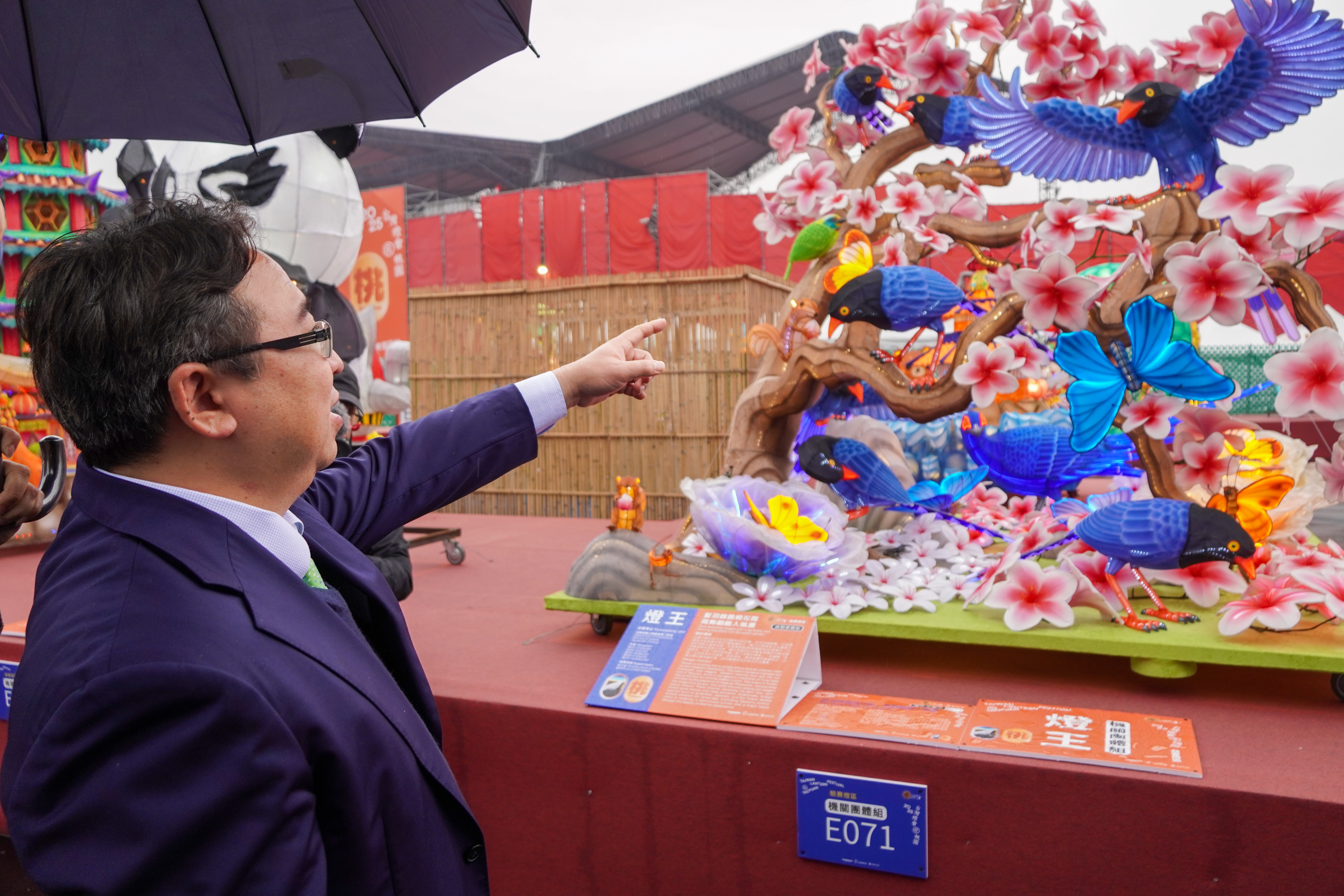 燈王_藍羽錦鵲桐花雨，飛舞翩翩入桃源